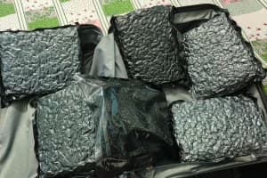 Kolkata Hydroponic Ganja Seized Accused Arrested: कोलकाता में दो करोड़ रुपये से ज्यादा की हाइड्रोपोनिक गांजा बरामद, एक आरोपी गिरफ्तार