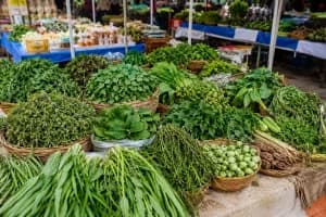 Nagpur Ranbhaji Organic Products Festival: नागपुर में 13 अगस्त से रानभाजी और जैविक उत्पादों का महोत्सव