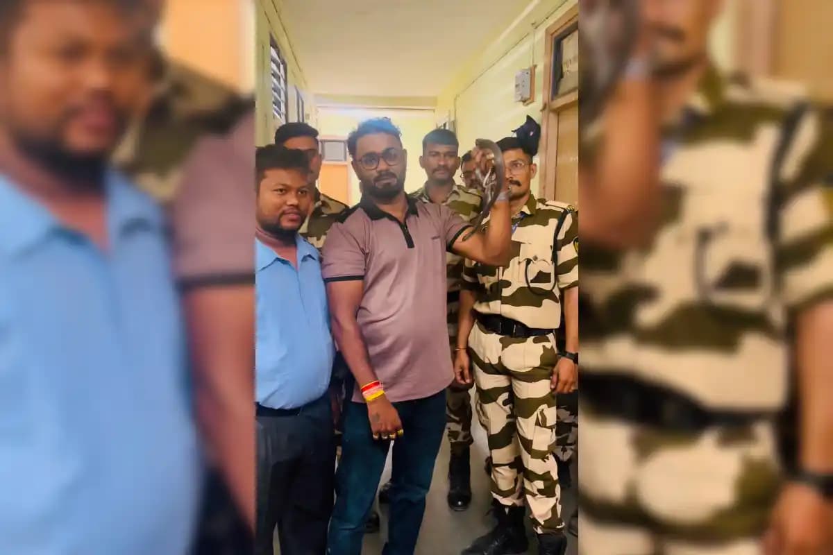 नागपुर मेडिकल के पुराने छात्रावास में डॉक्टर के कमरे में घुसा सांप, दहशत