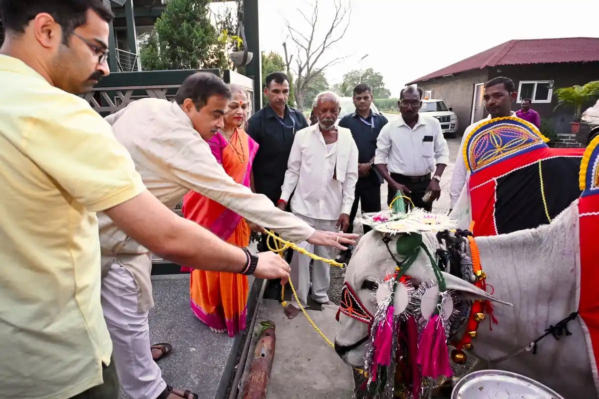 नागपुर के धापेवाड़ा में पोला पर्व पर नितिन गडकरी ने की बैलों की पूजा