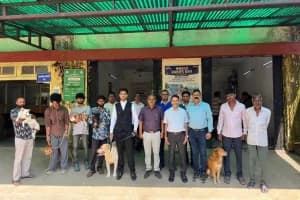 Nagpur World Rabies Day Free Vaccination Camp: विश्व रेबीज दिवस पर नागपुर में भटके और पालतू कुत्तों का नि:शुल्क टीकाकरण