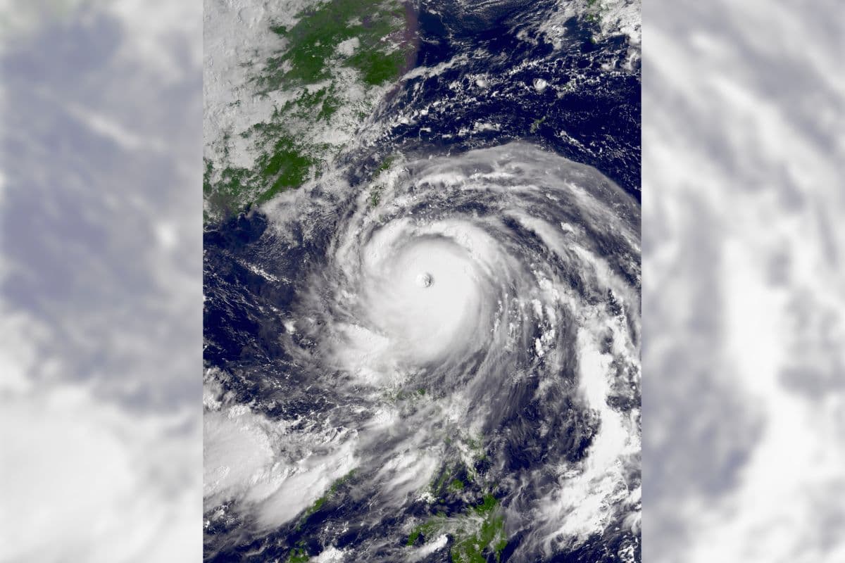 Super Typhoon Ragasa ने Hong Kong और Southern China में मचाई तबाही, Taiwan और Philippines में हुई जान-माल की क्षति