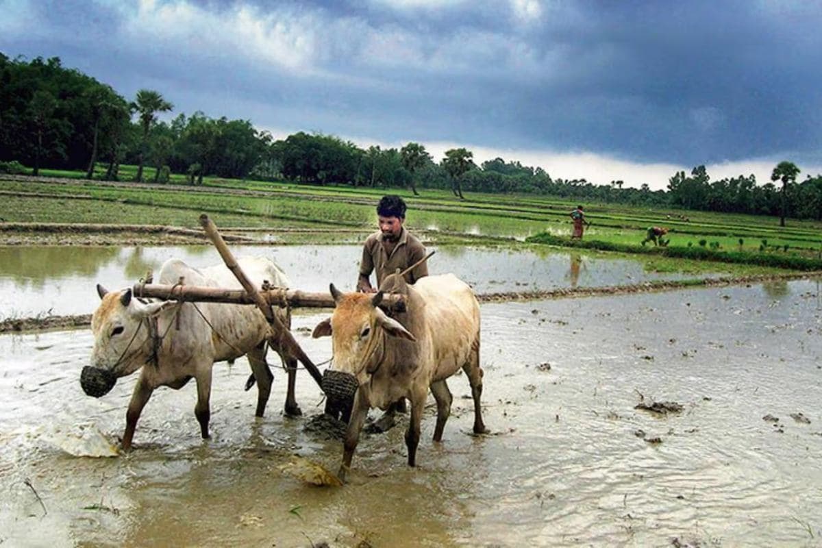 केसीसी ऋण न चुकाने वाले किसानों की भूमि होगी नीलाम, मथुरा में बैंक ने मांगी बकाएदारों की सूची
