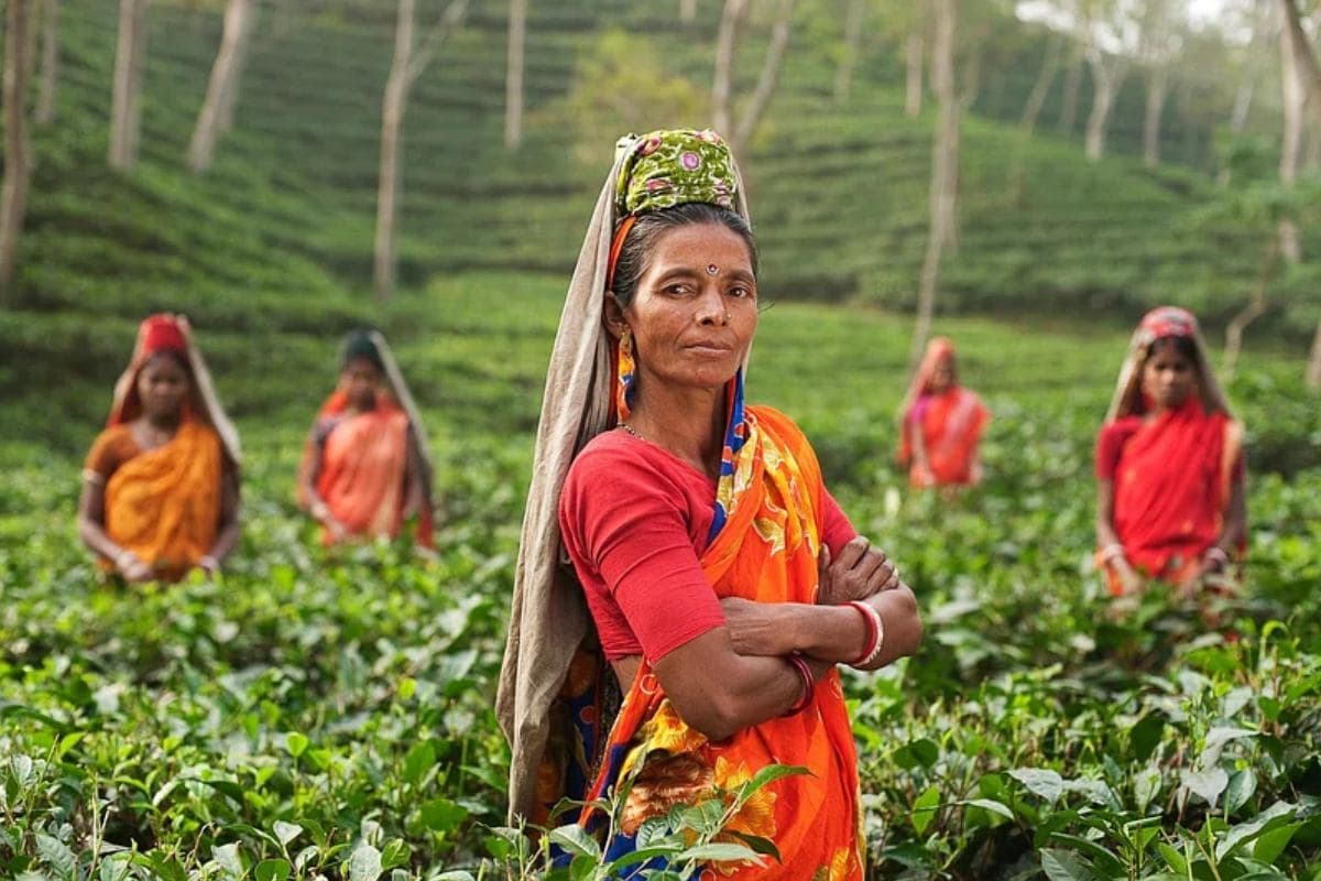 पीएम किसान योजना: 21वीं किस्त का इंतजार, नवंबर में मिल सकता है लाभ