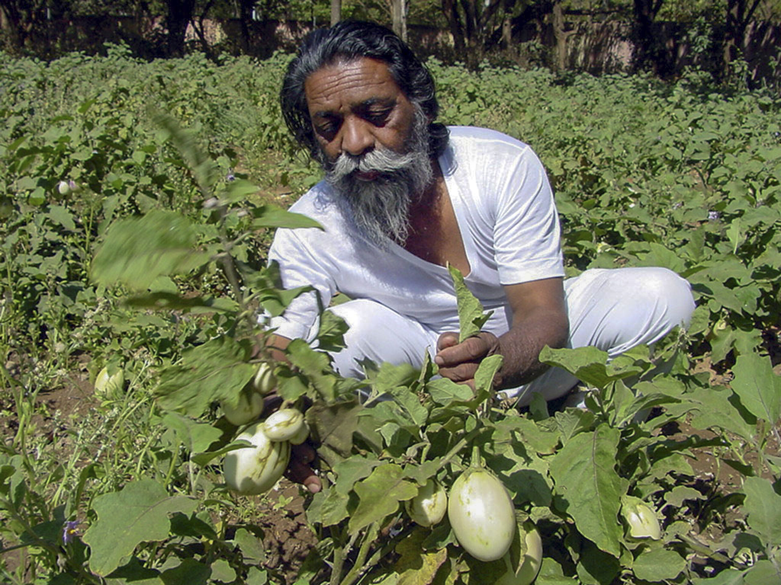 Shibu Soren JMM Mass Leader