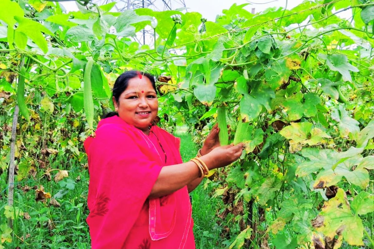 Success Story Tribal Women Farmer Jharkhand Today News