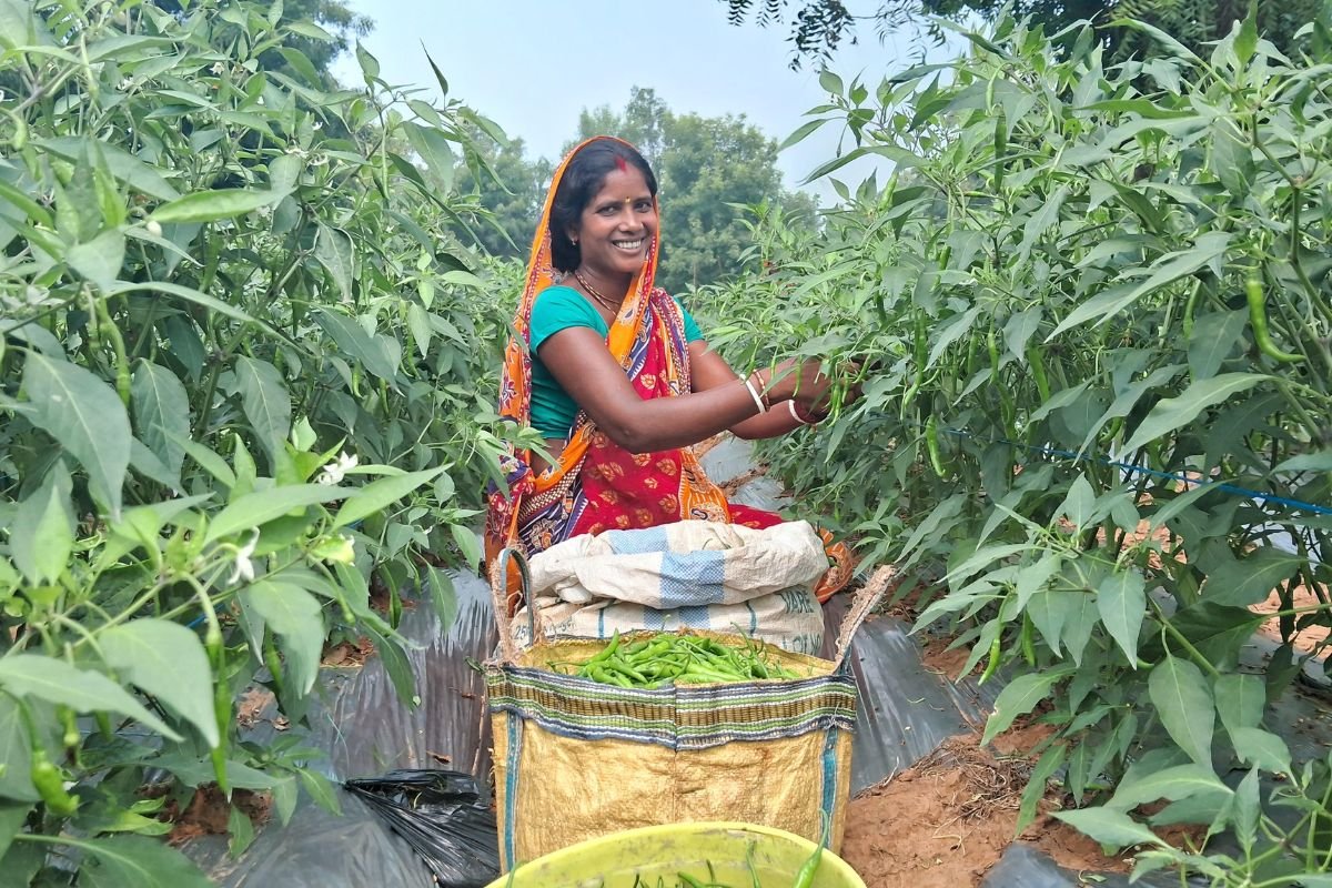 Success Story Tribal Women Farmer of Jharkhand News Today