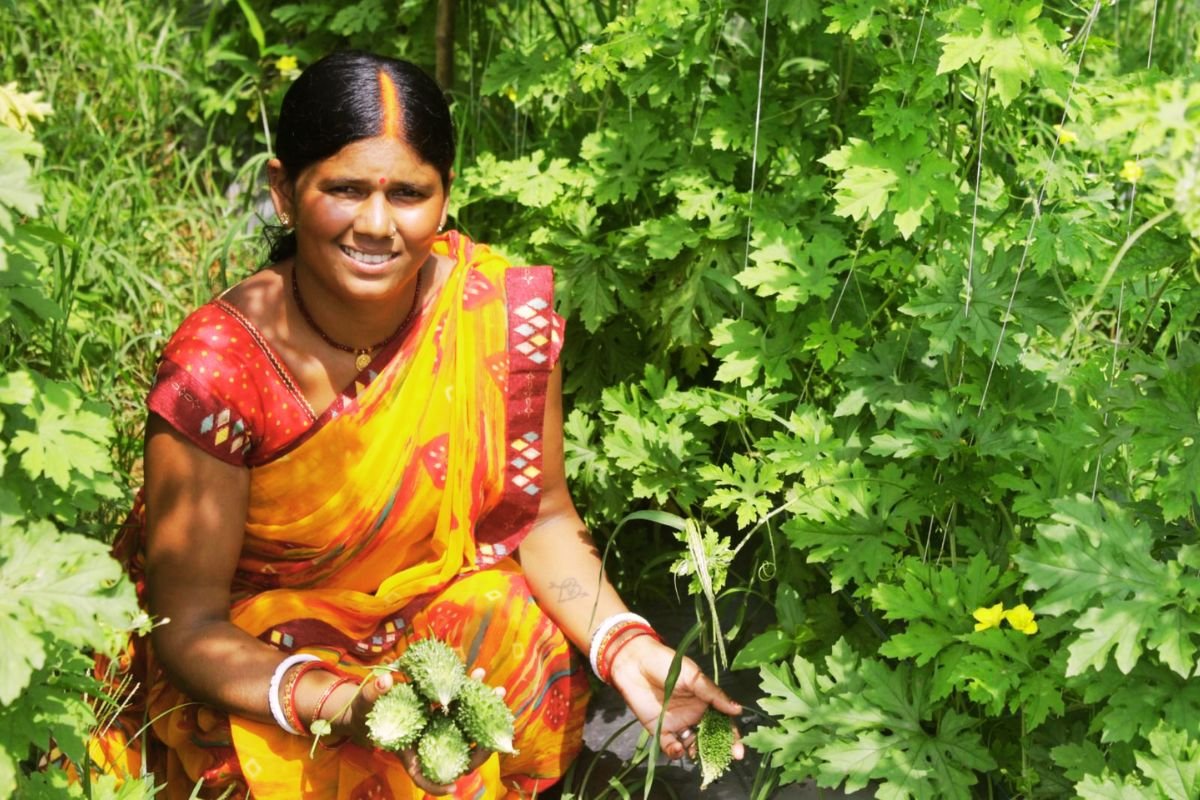 Success Story Tribal Women Farmer of Jharkhand News