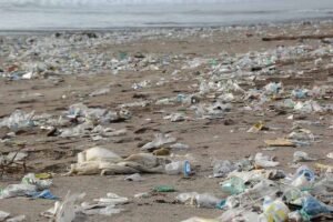 Ganga Plastic Pollution: उच्च जैव विविधता वाले क्षेत्र में पैकेजिंग अपशिष्ट सबसे अधिक