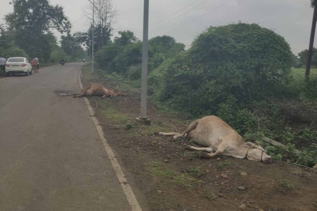 Hingna MIDC Electric Wire Accident