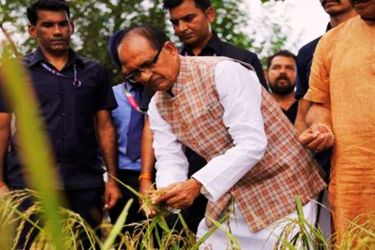 Shivraj Singh Chouhan in Jammu News Today