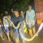 Vanadnagar Python Rescue