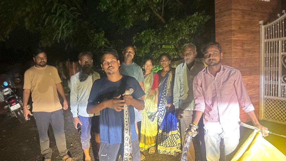 Vanadnagar Python Rescue