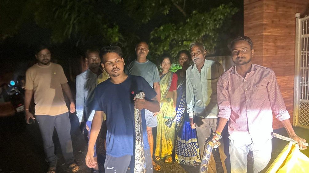 Vanadnagar Python Rescue