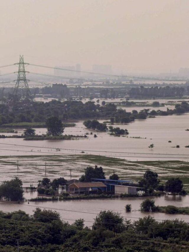 Yamuna Water Level Delhi: 207 मीटर से नीचे, खतरे से ऊपर