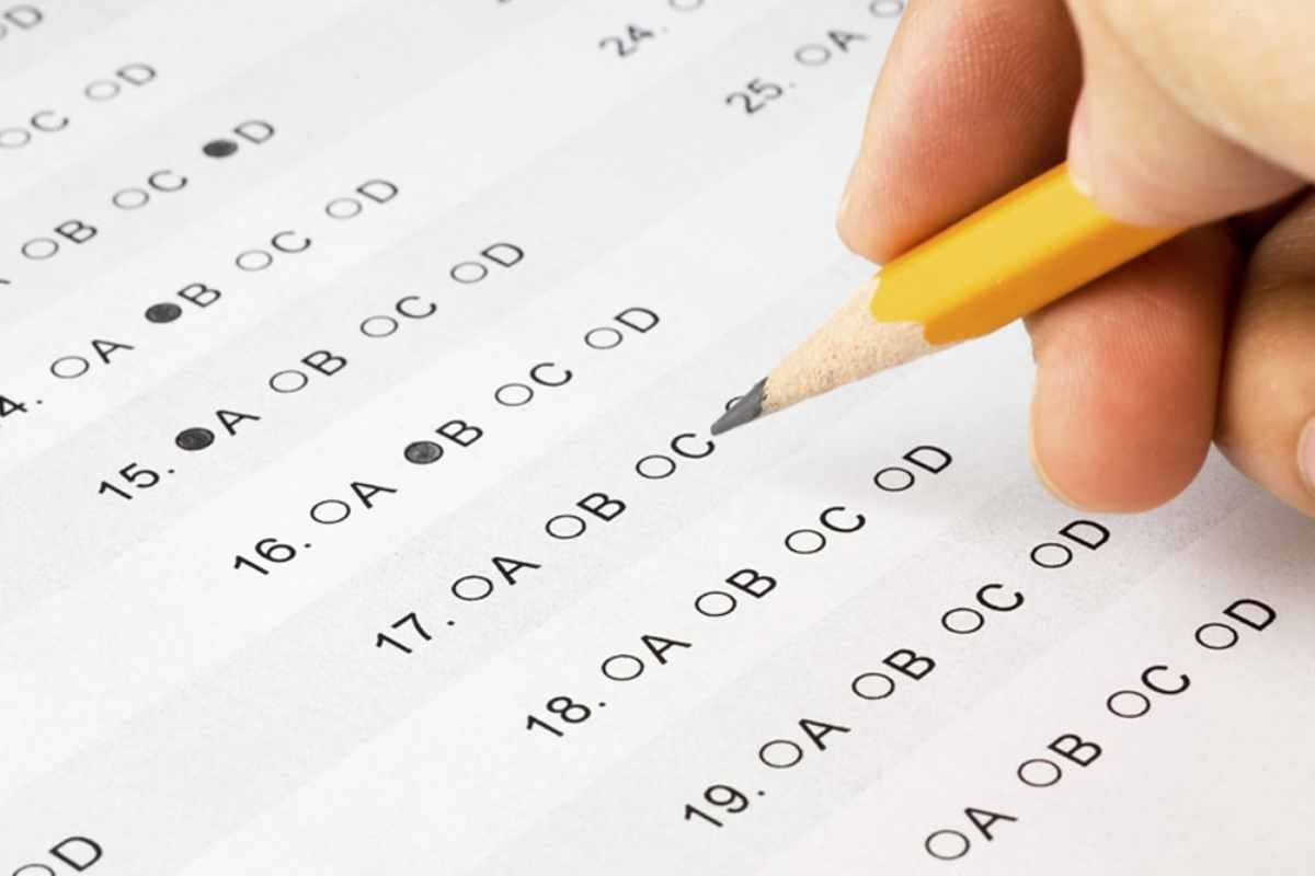 Bihar DElEd Answer Key 2025