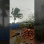 Bihar heavy rain
