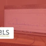 BLS International Shares Crash