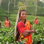 PM Kisan Yojana 21st Installment