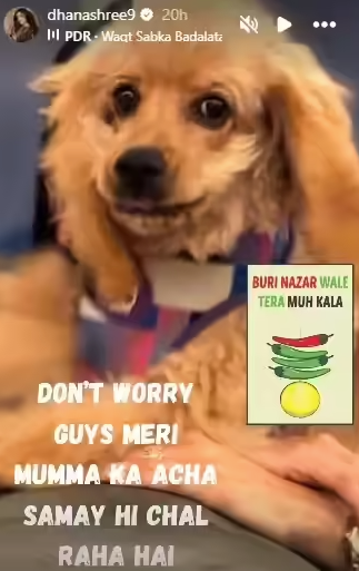 'सुगर डैडी' मज़ाक पर भड़कीं धनश्री वर्मा! समाय रैना के पोस्ट पर दिया अप्रत्यक्ष जवाब, कहा— “मेरी मम्मा का अच्छा समय चल रहा है” 3 Dhanashree Verma Reacts to Samay Raina Sugar Daddy Post: समाय रैना के मज़ाक पर धनश्री का इशारों में पलटवार